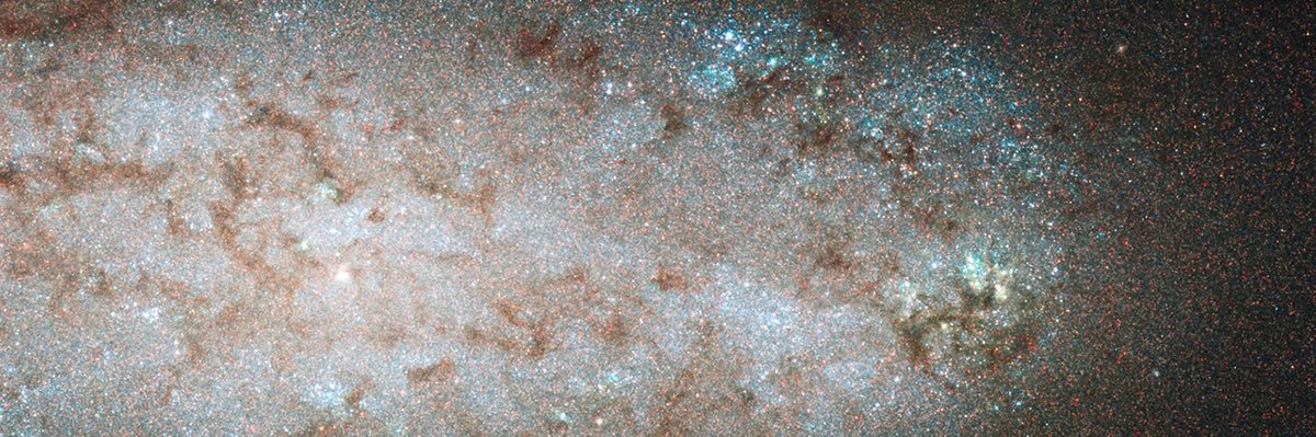 masterwaynne's profile banner image