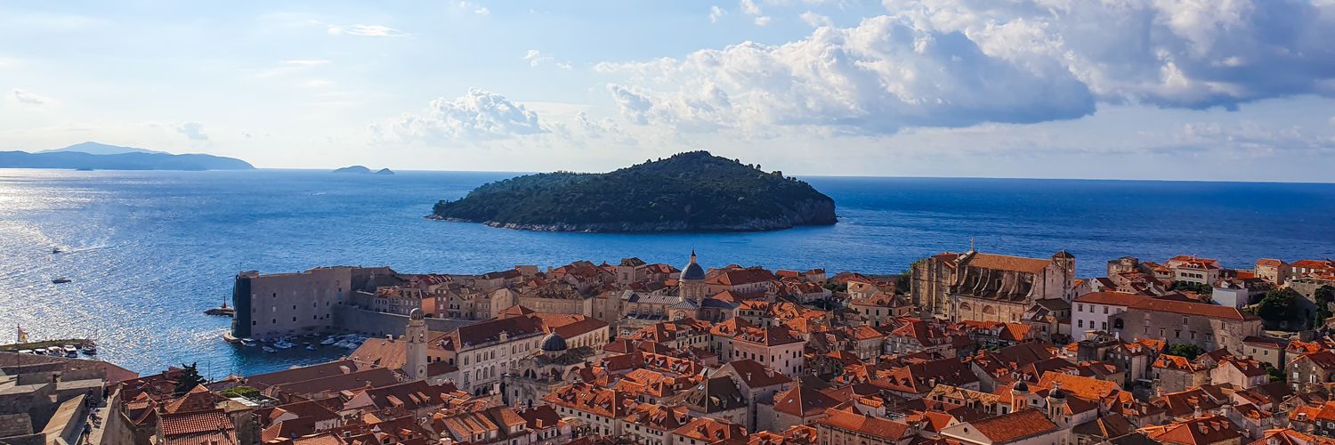 Alexandra Sandu banner