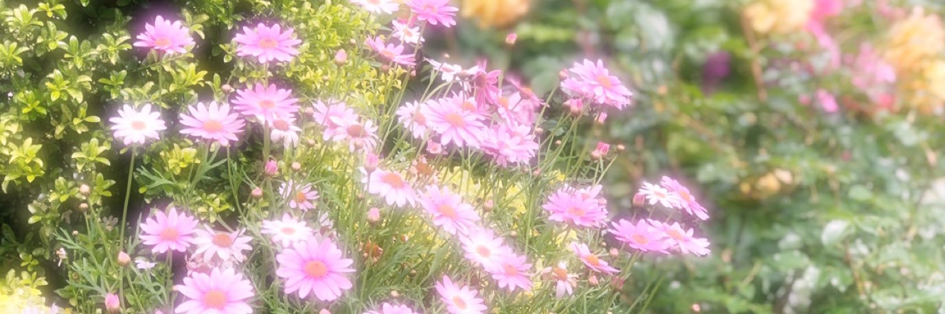 まりんご@お取引用 banner