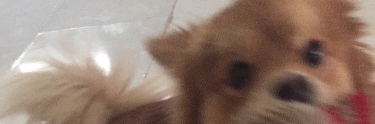 A6asi's profile banner image