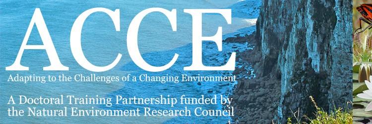 ACCE_York's profile banner image