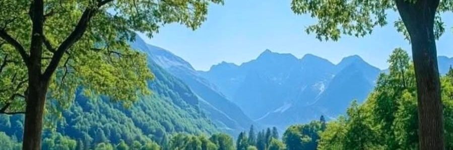 rbala53a's profile banner image