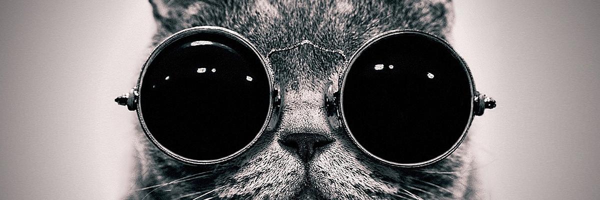 PahadanForever's profile banner image
