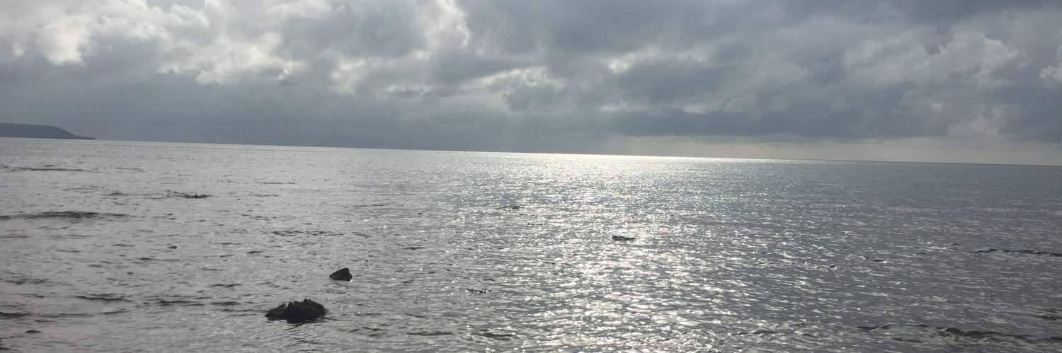 lmlraz's profile banner image