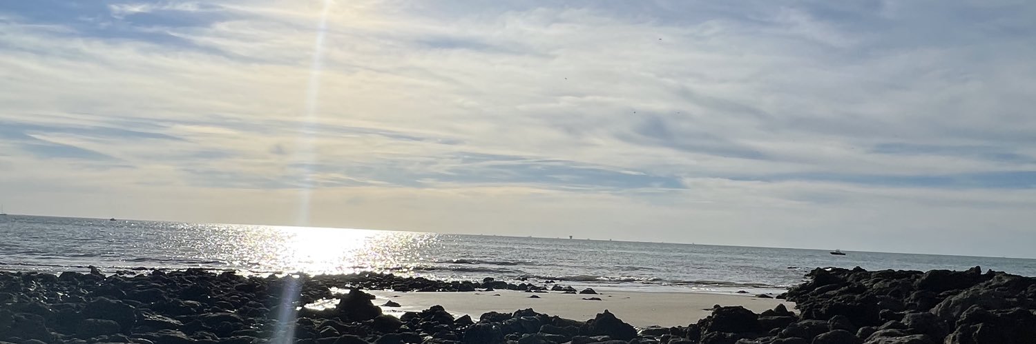 vavawolff's profile banner image