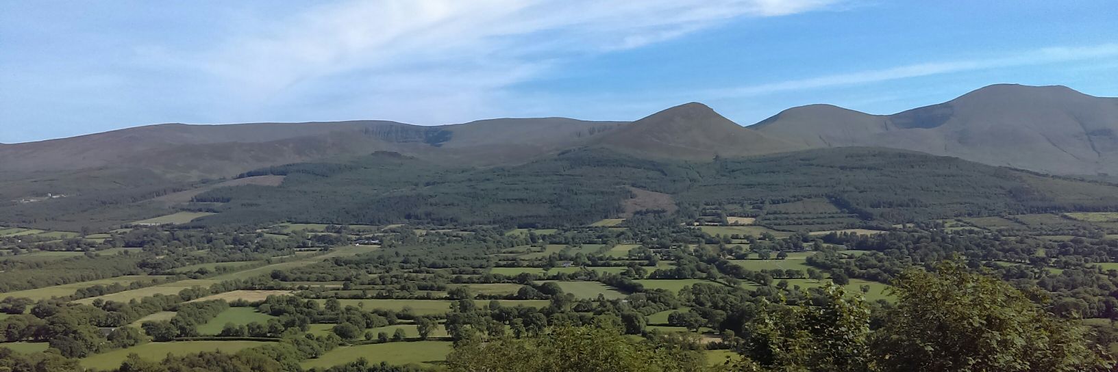 barryfmcgrath's profile banner image