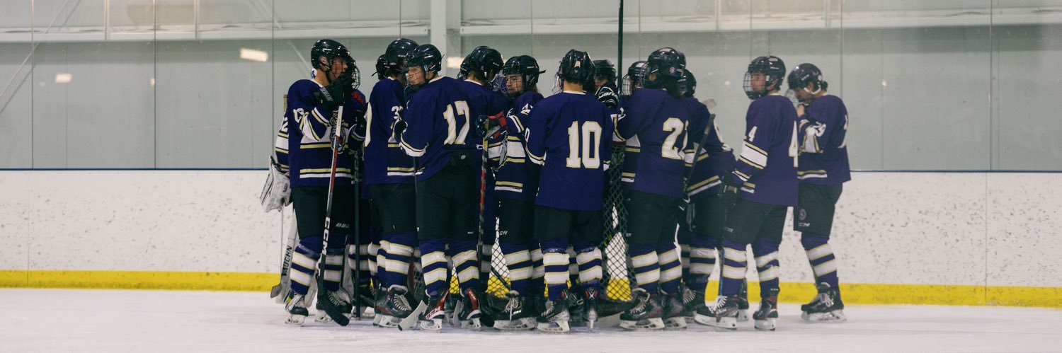 JMU Ice Hockey banner