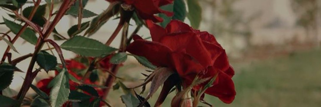 sryyaa_'s profile banner image
