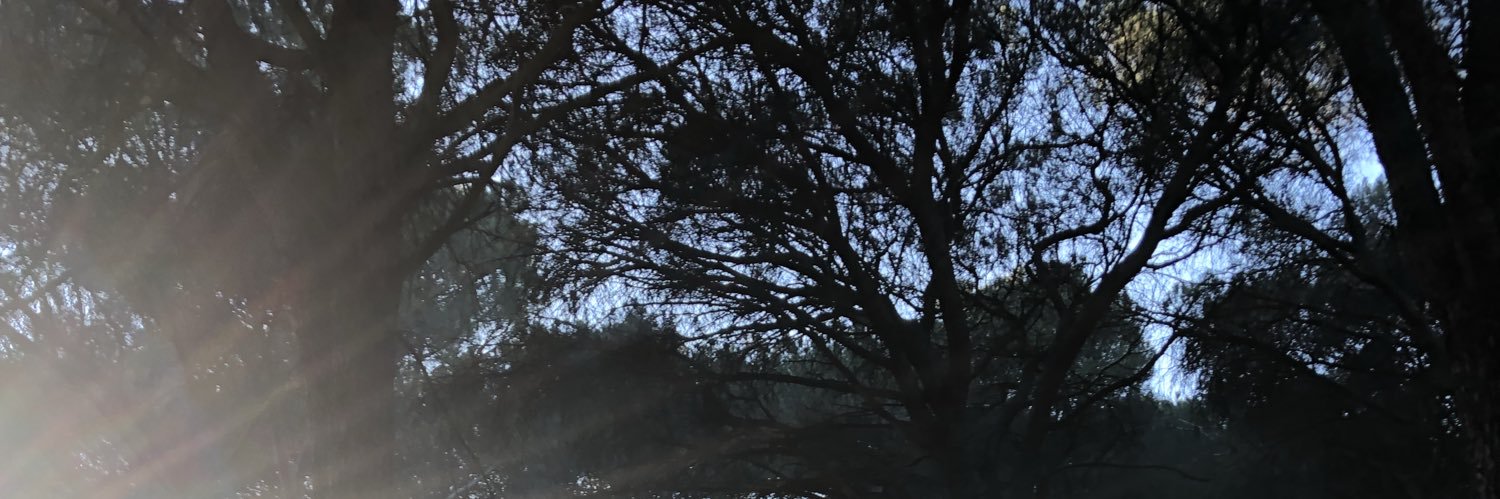 Julio Escudero banner