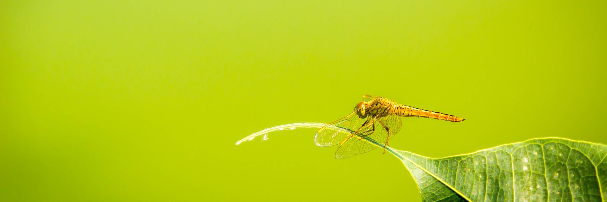 shutter_matters's profile banner image