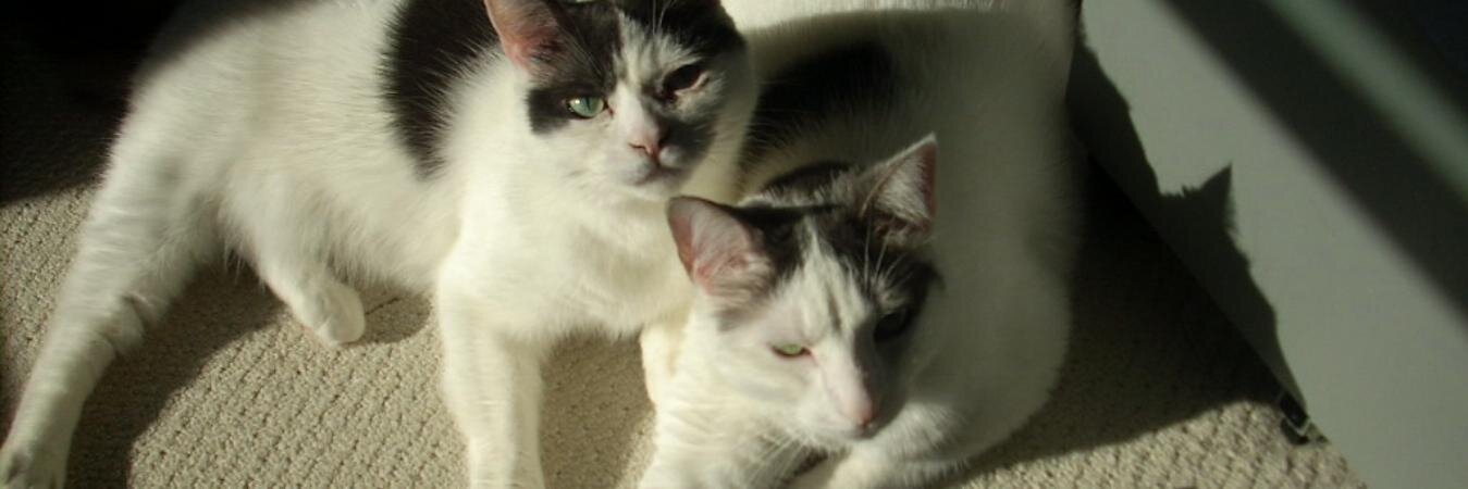 Kimberly Hughes banner