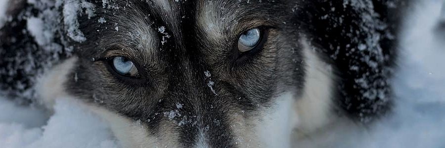 oveis_th's profile banner image