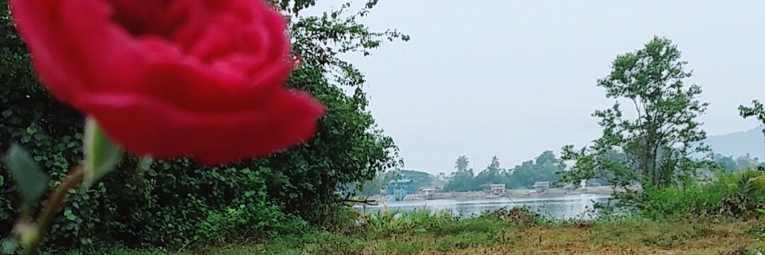 ainjusoh's profile banner image