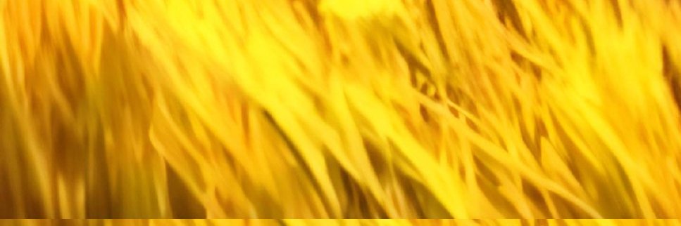 Andoni_Abad's profile banner image