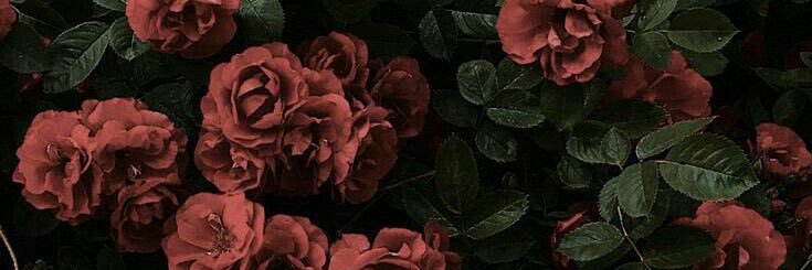 AcrylicAfternoons banner