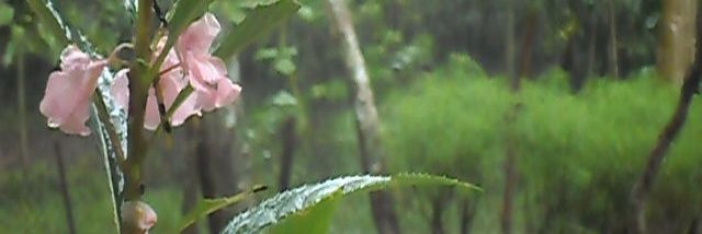 arvinalhakim's profile banner image
