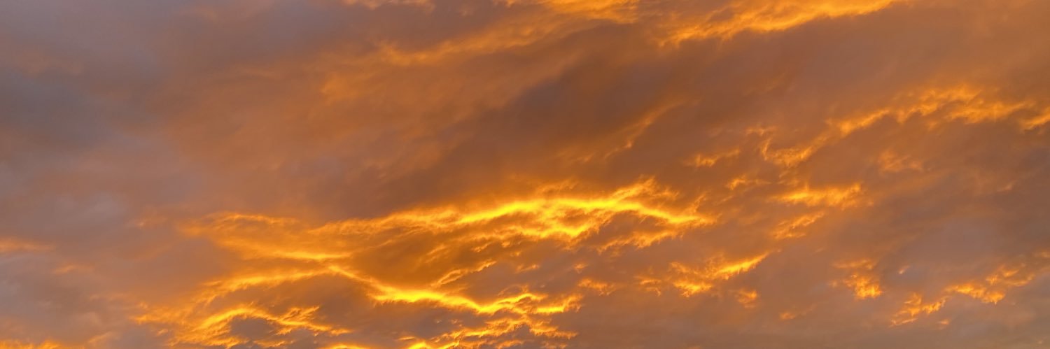 dariaarom_'s profile banner image