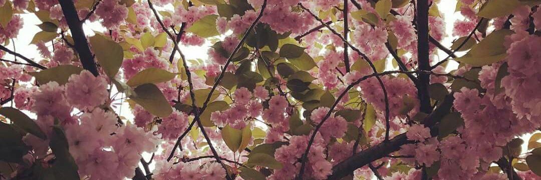 jae_wil's profile banner image