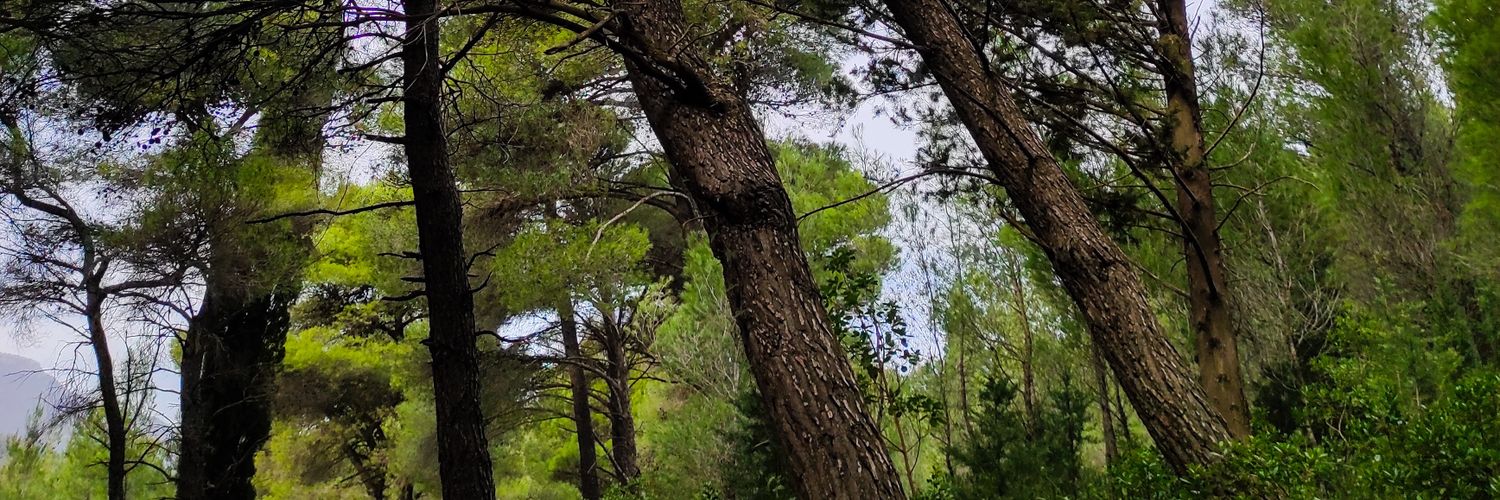 alexchr15's profile banner image