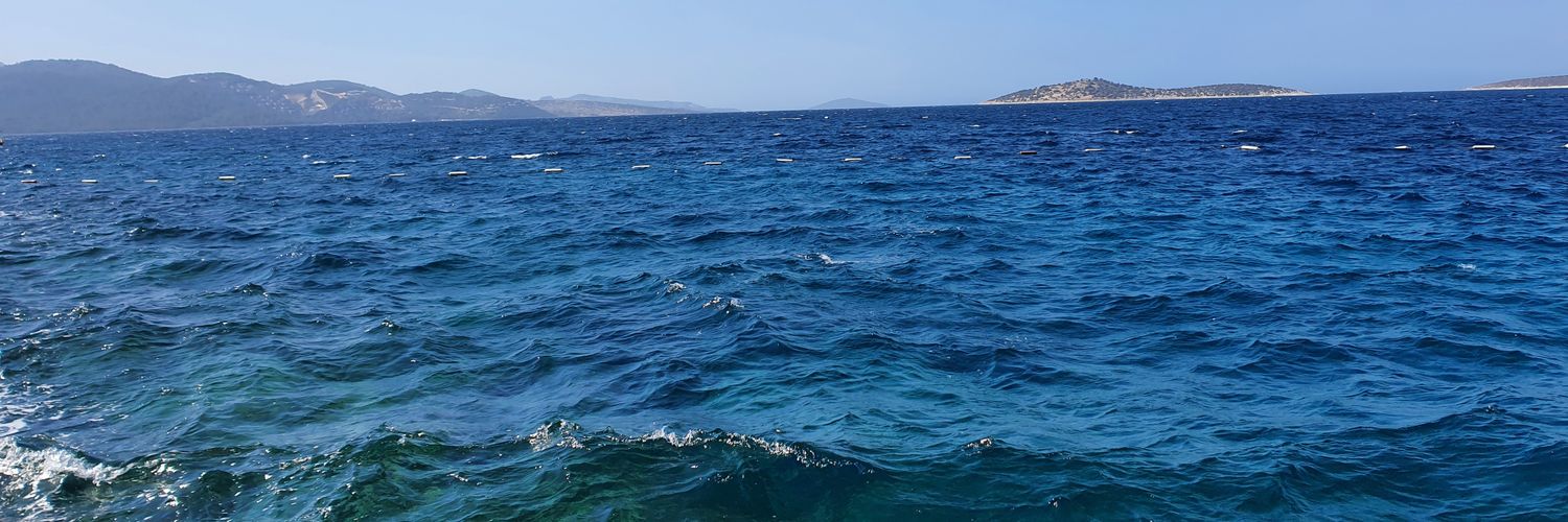 masterofmysea__'s profile banner image
