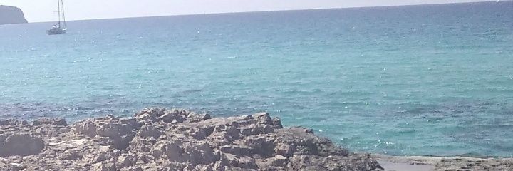 nickipozi's profile banner image