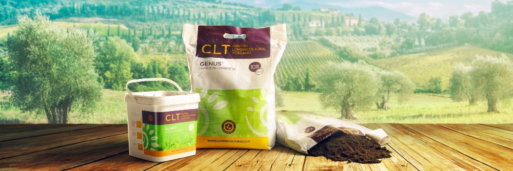 Humus_CLT's profile banner image