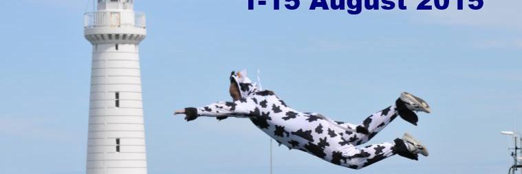 Donaghadee_Fest's profile banner image