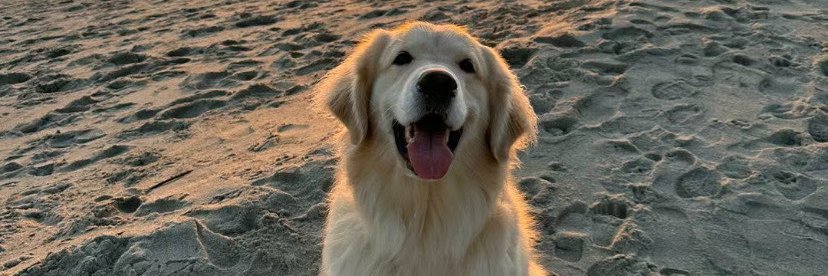 CakyGoldLocks's profile banner image