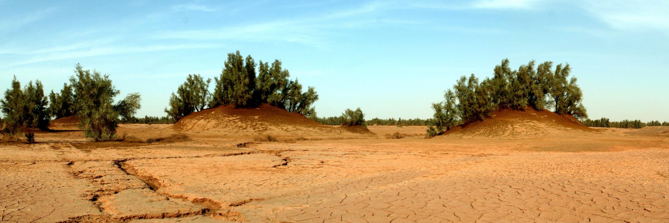 UNCCD Civil Society's banner