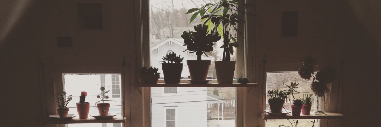 lorkinoreilly's profile banner image