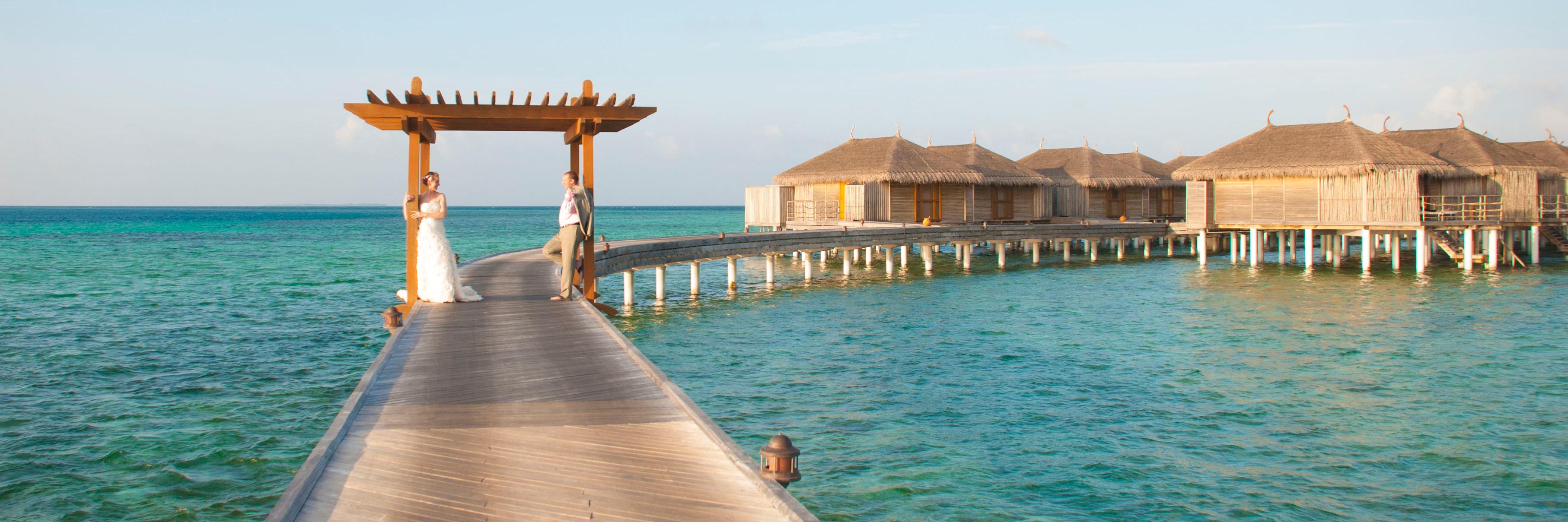 Tracey Forbes Rice banner