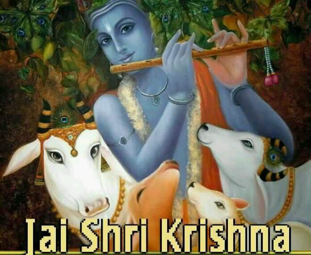 JyotiHarresh's profile banner image