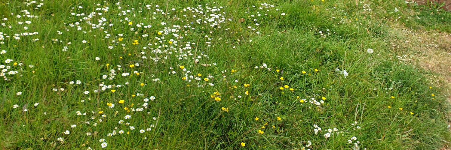 Ellen Bulleid banner