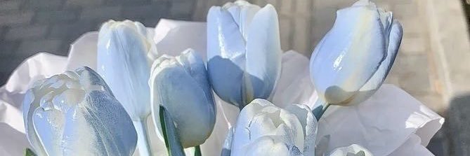 ⋆. 𐙚 ̊ noel banner