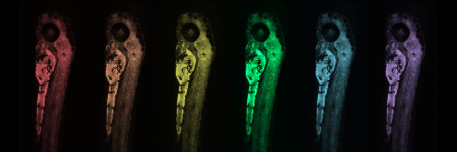 Dr. Alice Godden 🐠🐸🔬 banner