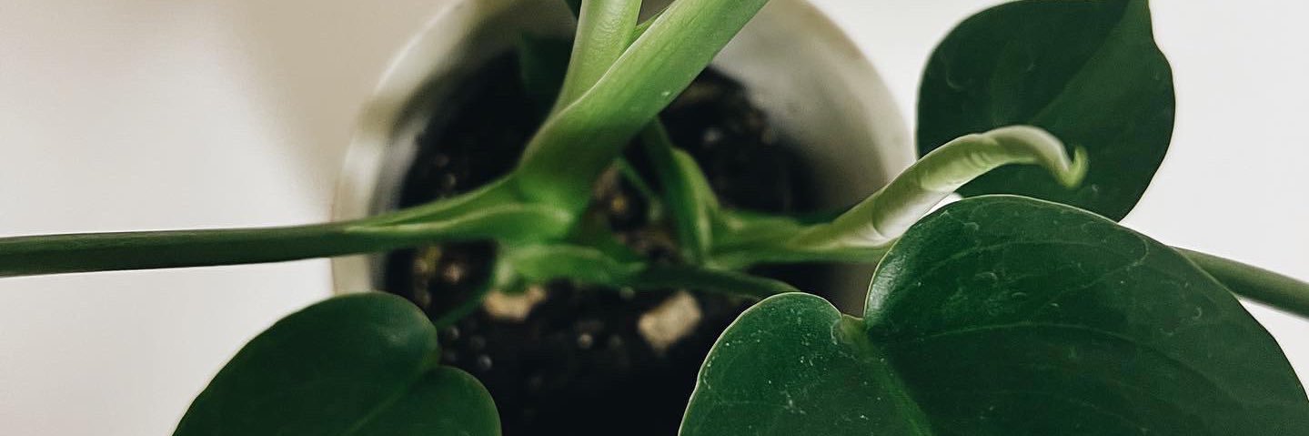 M_ooe27's profile banner image