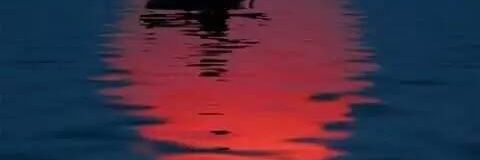 nsralwan271's profile banner image