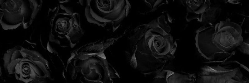 nadiladw's profile banner image