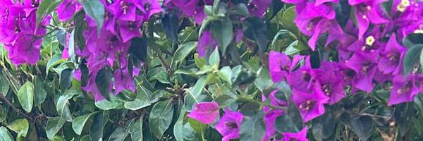 tserry2504 Profile Banner