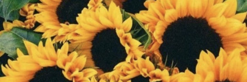 Reemedios's profile banner image