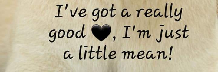 HanUhSllrs's profile banner image