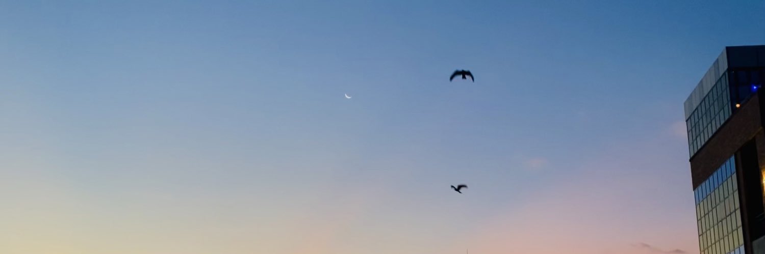 Olive banner