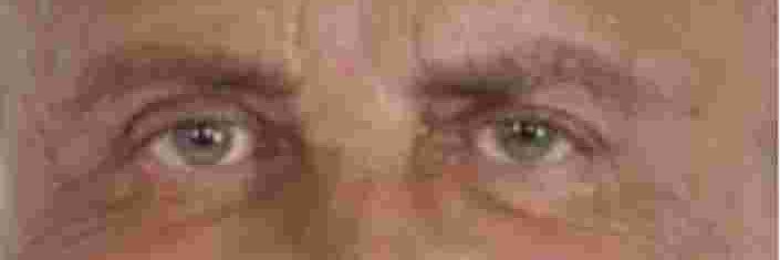 Elchapapote banner