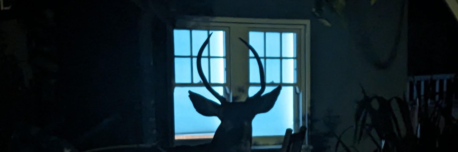 tarwatirno's profile banner image