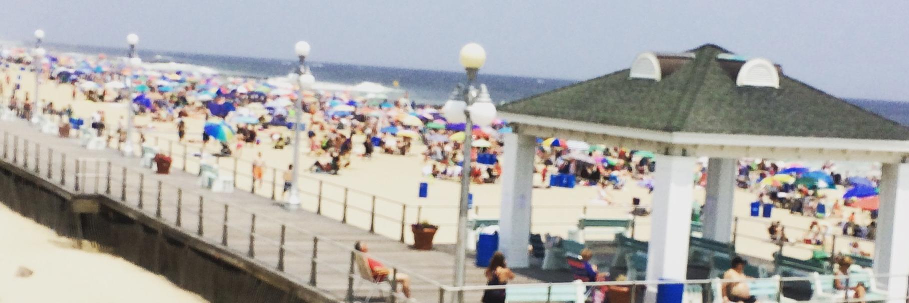 Jane Losinger banner