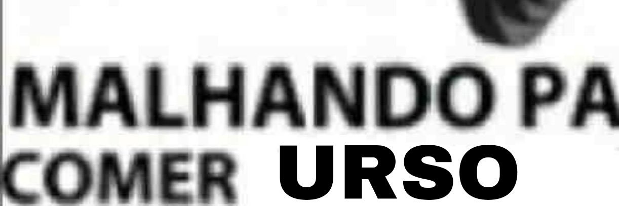 Quase bearzinho banner