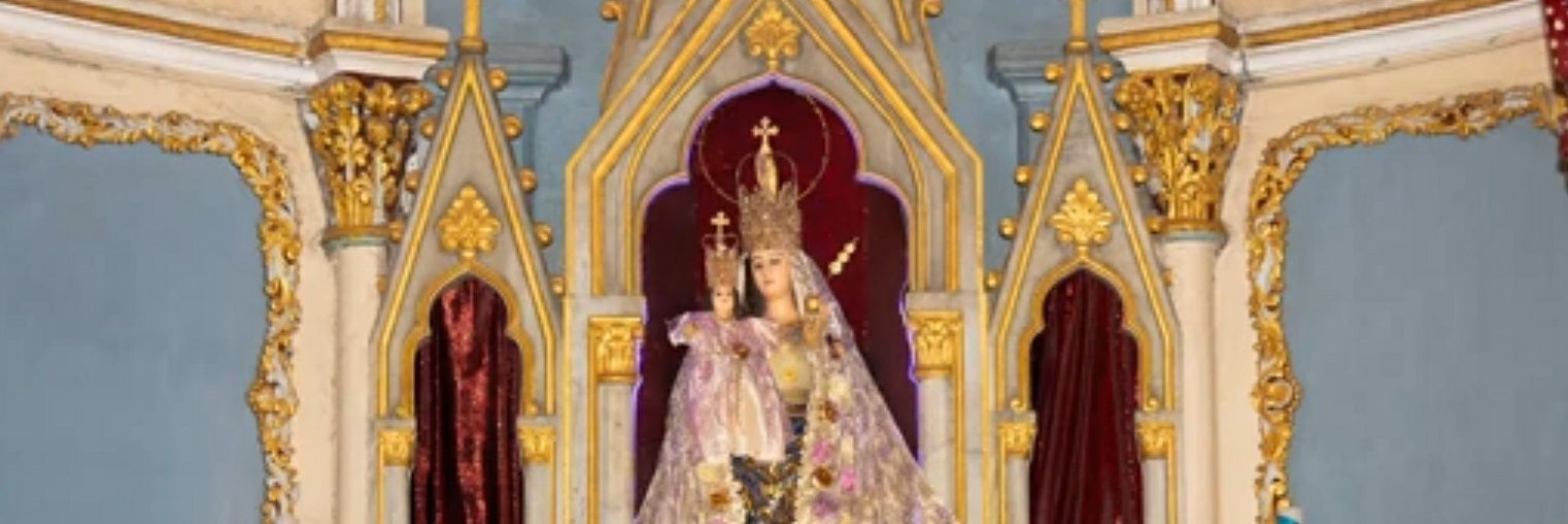 Bindu Sebastian banner