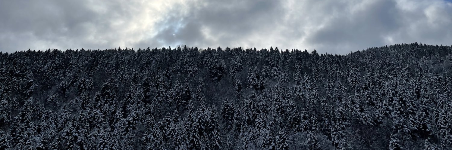 zyygntp's profile banner image