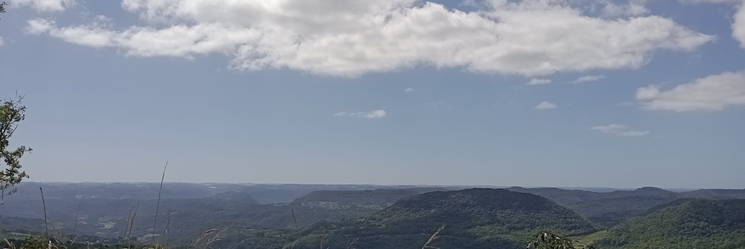 verterecas's profile banner image