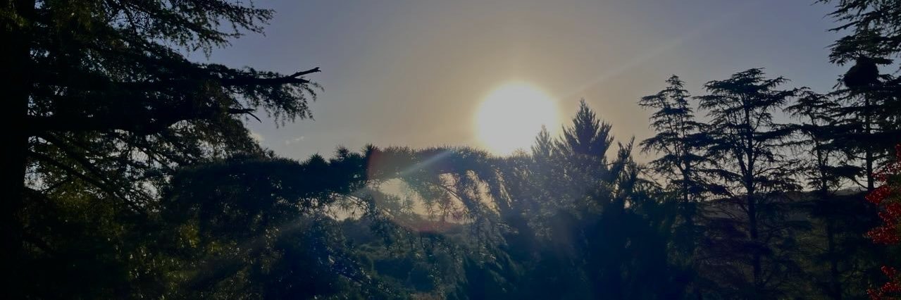 sofiabelennv's profile banner image